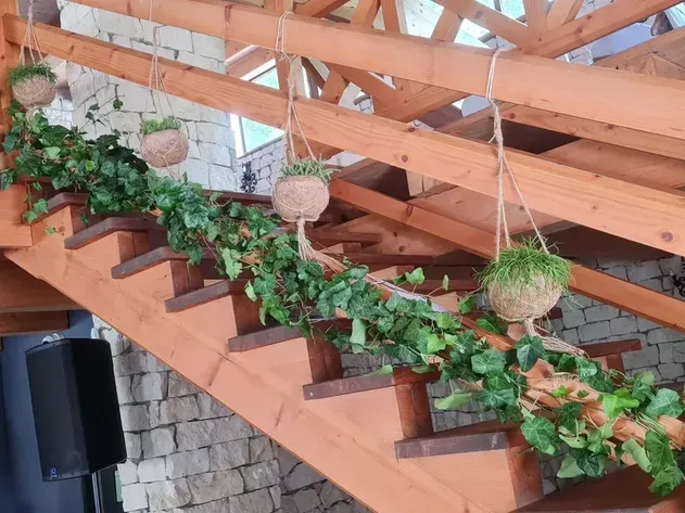 aranżacja roślinna wnętrza