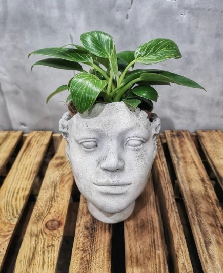 Osłonka Lady White M